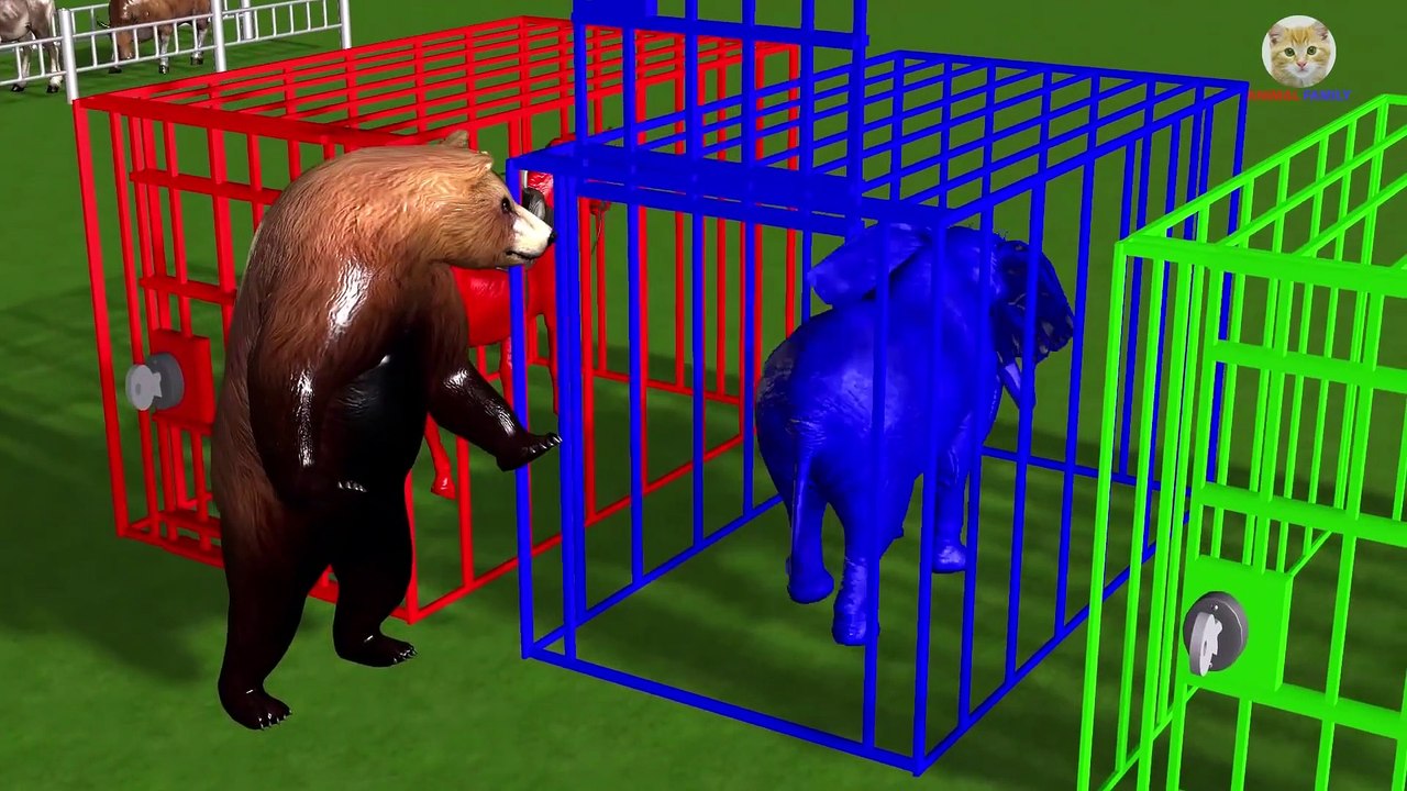 Learn Colors Wild Animals Vaccination and Weight Measure with Farm Animals Cartoon for Children