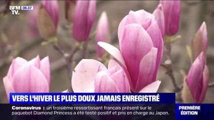 Vers l'hiver le plus doux jamais enregistré en France