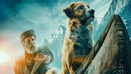 The Call of the Wild film - Nature Clip - Harrison Ford