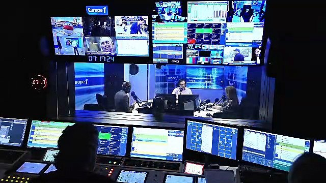 Détection d'explosifs : les sauterelles remplaceront-elles bientôt les chiens renifleurs ?