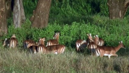 충북추천업소【OI0↔29O8↔68O③】충북추천업소예약♥≡≪