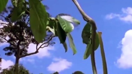 완주출장서비스 완주출장서비스O1OE6579E3382｛카톡COM23｝ 완주출장마사지샵 완주출장안마on완주출장안마cos여3♪⇔∃마사지황형♥◣≪