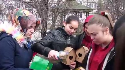 Okul Bahçesine Kuş Evleri