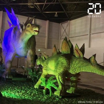 Marseille: Une exposition rassemble 25 dinosaures articulés grandeur nature