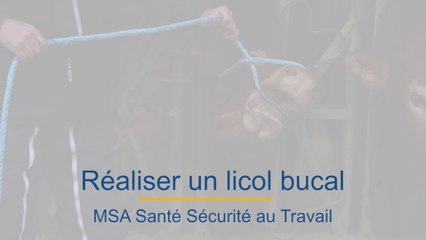 Tutoriel : licol bucal