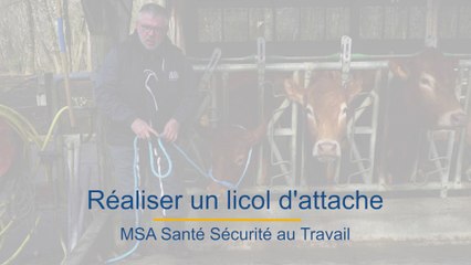 Tutoriel :  licol d'attache