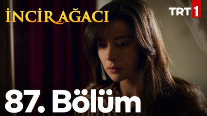 İncir Ağacı 87. Bölüm