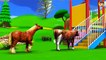 Learn Colors With Animal - Farm Animals Babies Find Mom Videos for Kids at Outdoor Playground Amusement Park