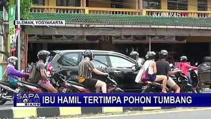 Wanita Hamil di Sleman Tertimpa Pohon Tumbang, Kandungan Tak Terselamatkan