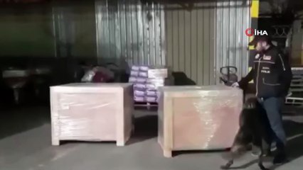 Kargo aktarım merkezinde 11 bin paket kaçak sigara ele geçirildi
