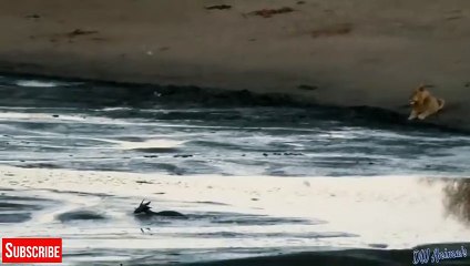 홍성출장서비스 홍성출장서비스O1Og2154g6609｛카톡MBN74｝ 홍성출장마사지샵 홍성출장안마on홍성출장안마cos여3♪⇔∃마사지황형♥∵≪