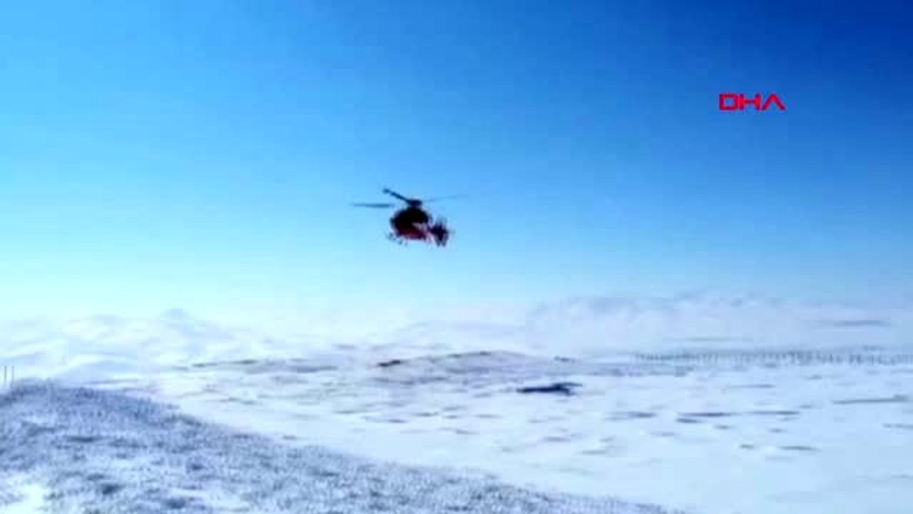 Van felç geçiren kişi, ambulans helikopterle hastaneye kaldırıldı