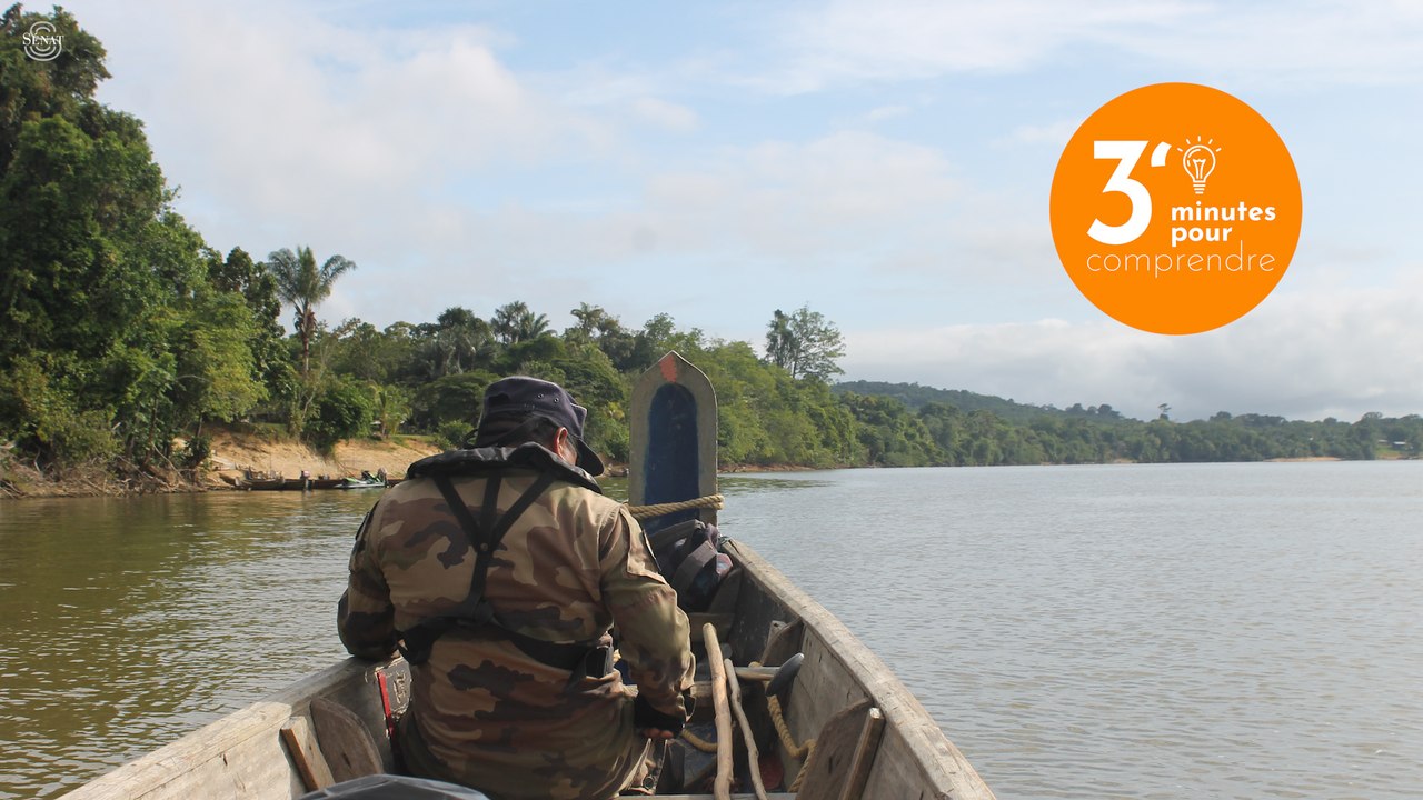 [3 minutes pour comprendre] Déplacement de la commission des lois en Guyane : faire face aux risques sécuritaires