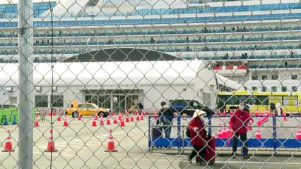 Coronavirus: Chaos auf der "Diamond Princess" - Hunderte gehen von Bord