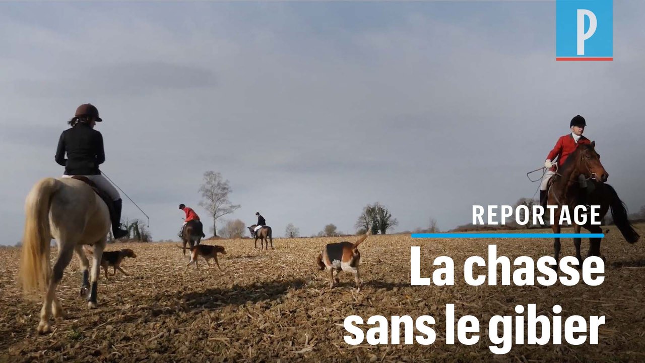 «Le Drag»,  la chasse à courre sans tuer de gibier