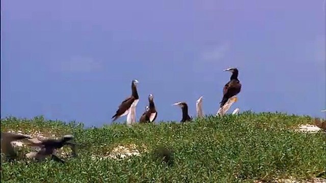 नवरात्रि में वैष्णो देवी दर्शन का बना रहे हैं प्लान तो IRCTC लेकर आया है शानदार टूर पैकेज