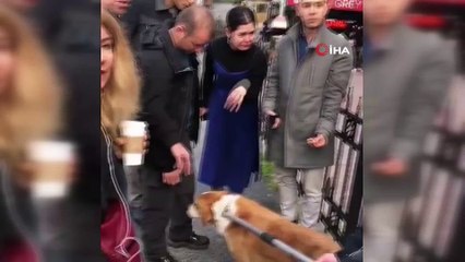 Hayvanseverlerden Beşiktaş Belediyesi’ne tepki