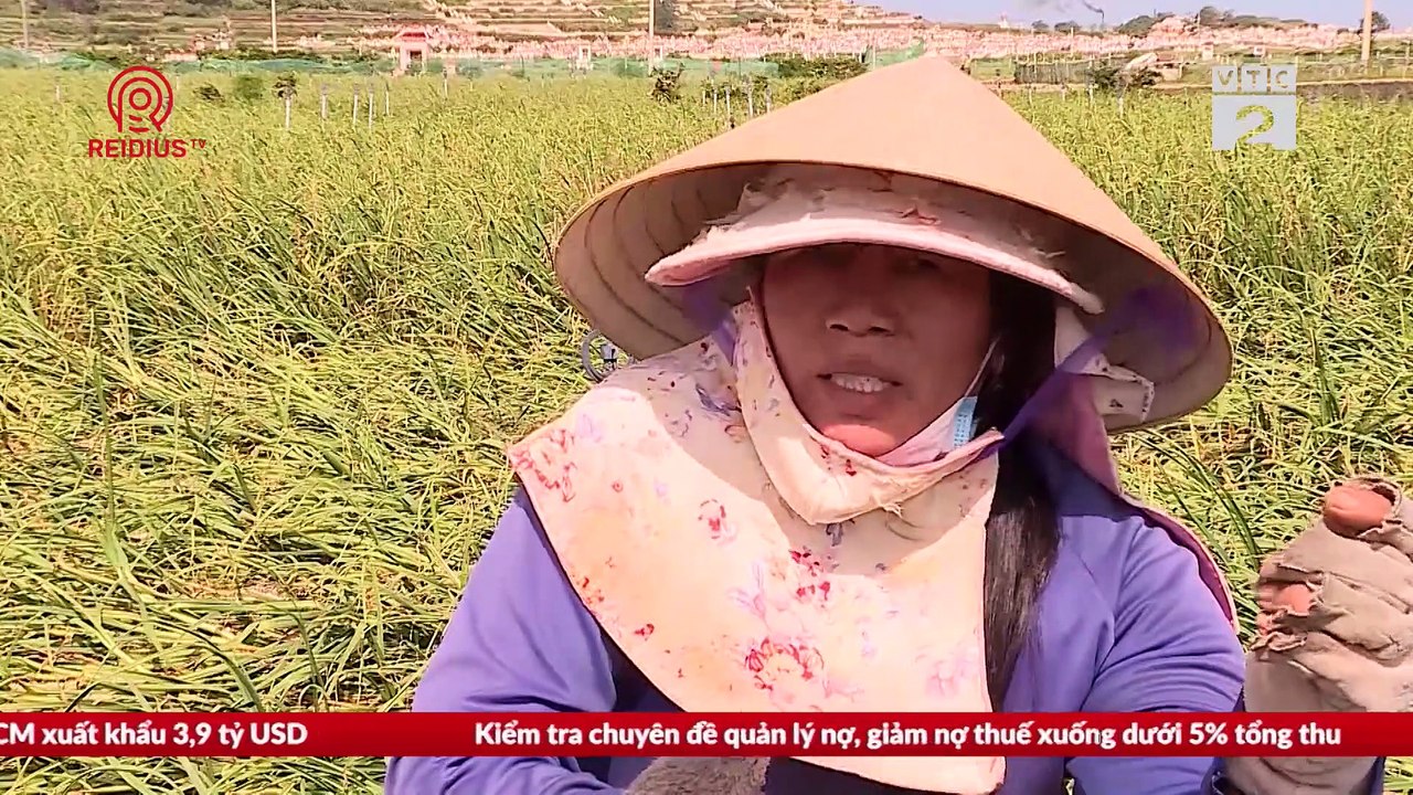 Kinh tế số - 19/02/2020