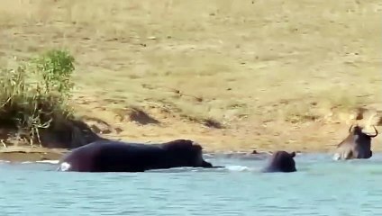 목포출장서비스 목포출장서비스O1Og2118g2518｛카톡KFC49｝ 목포출장마사지샵 목포출장안마on목포출장안마cos여3♪⇔∃마사지황형♥≑≪