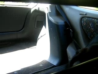 Toutou en voiture, galère de rester sur ses 4 pattes!