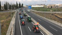 Una tractorada en protesta por el sector agrario atraviesa Granada