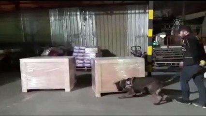 Kargo aktarım merkezinde 11 bin paket kaçak sigara ele geçirildi - GAZİANTEP