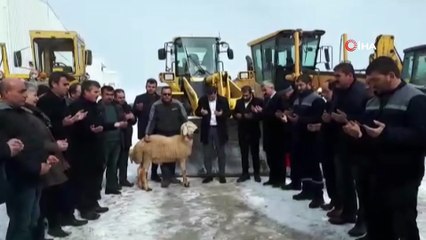 Kapanan yolları kazasız belasız temizleyince, şükür kurbanı kestiler
