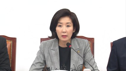 [기자브리핑] 나경원 의원 딸 해외연수 요청 중 특혜 논란 의혹 / YTN
