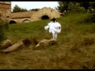 Une poule rabbin... C'est drôle, non?