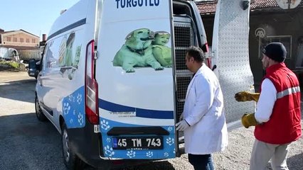 Vatandaşların bulduğu yaralı şahin tedavi altına alındı