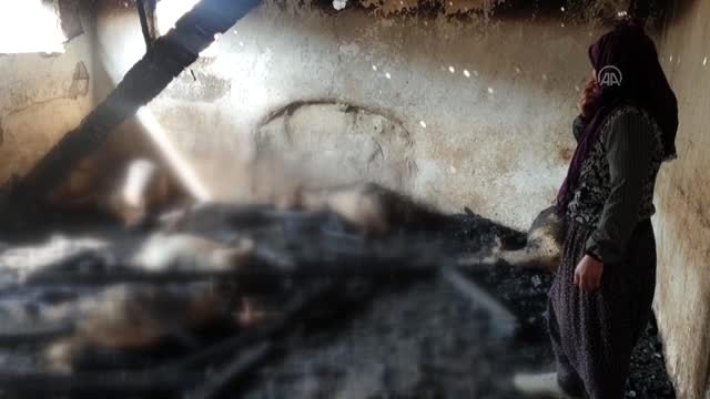 Ağılda çıkan yangında 26 küçükbaş hayvan telef oldu