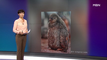 김주하의 2월 19일 '이 한 장의 사진'