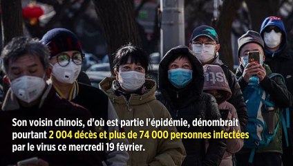 Coronavirus : pourquoi il n'y a aucun cas officiel en Corée du Nord