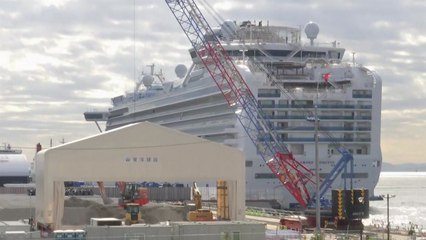 정부, 日 크루즈선 승선자 국내 입국 금지...외교부, 명단 요청 / YTN