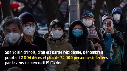 Coronavirus : pourquoi il n'y a aucun cas officiel en Corée du Nord