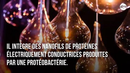 Ce nouveau dispositif permet de générer de l'électricité  à partir de l'air ambiant