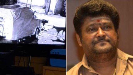 ಜಗ್ಗೇಶ್ ಕಾರಿಗೆ ನಾಯಿಗಳು ಮಾಡಿದ್ದೇನು ನೋಡಿ | Jaggesh | Street Dog | filmibeat kannada