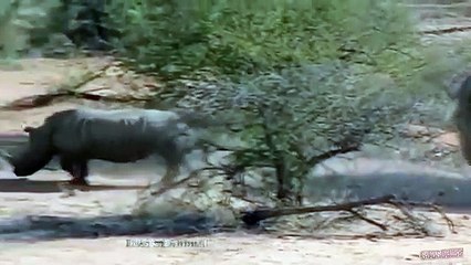 나주출장서비스 나주출장서비스O1Og2143g9131｛카톡KOM88｝ 나주출장마사지샵 나주출장안마on나주출장안마cos여3♪⇔∃마사지황형♥◑≪