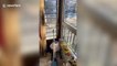 Quarantined Chinese resident walks dog from first-floor balcony; reels it back up with leash when finished