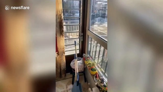 Quarantined Chinese resident walks dog from first-floor balcony; reels it back up with leash when finished