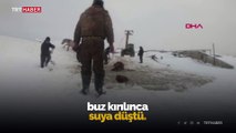 Buz kırılınca suya düşen atlar seyisler tarafından kurtarıldı