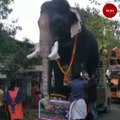 Artificial elephants replace temple elephants in Kerala
