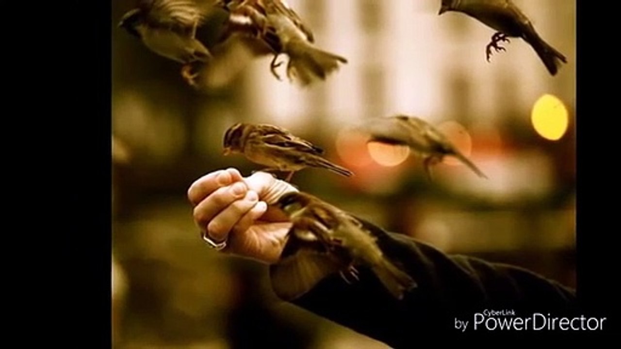 apni kahani kesy kahen a heart touching song__360p