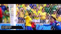 100 Greatest Goalkeeper Saves In Football History_0gN1c9EEfuA_360p