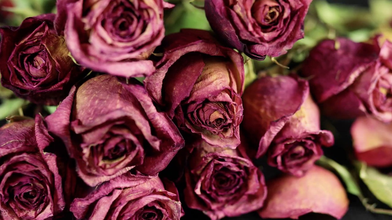 Verwelkte Blumen vom Valentinstag übrig? Hier sind 3 Tipps zum wiederverwerten!