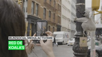 Knuffelkoala's om Australië te helpen