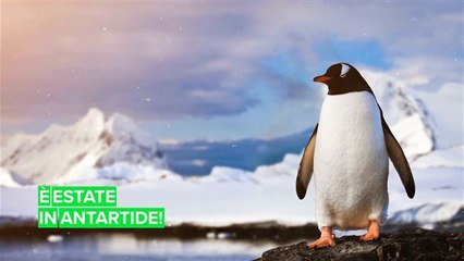 Clima tropicale in Antartide