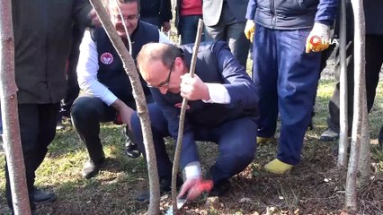 Vali Seddar Yavuz: “Fındık üretimi yüzde 10 artarsa, 400 milyon lira ek gelir olur”