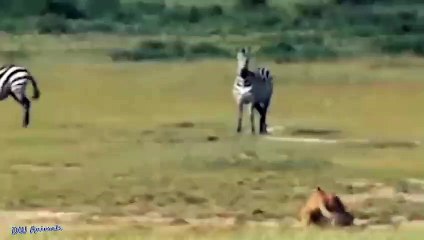 거창추천업소【OI0↔29O8↔68O③】거창추천업소예약♥≧≪