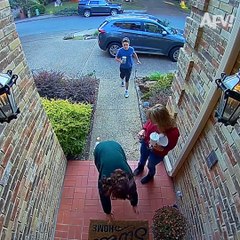 Videos Engraçados So quedas de Qualidade